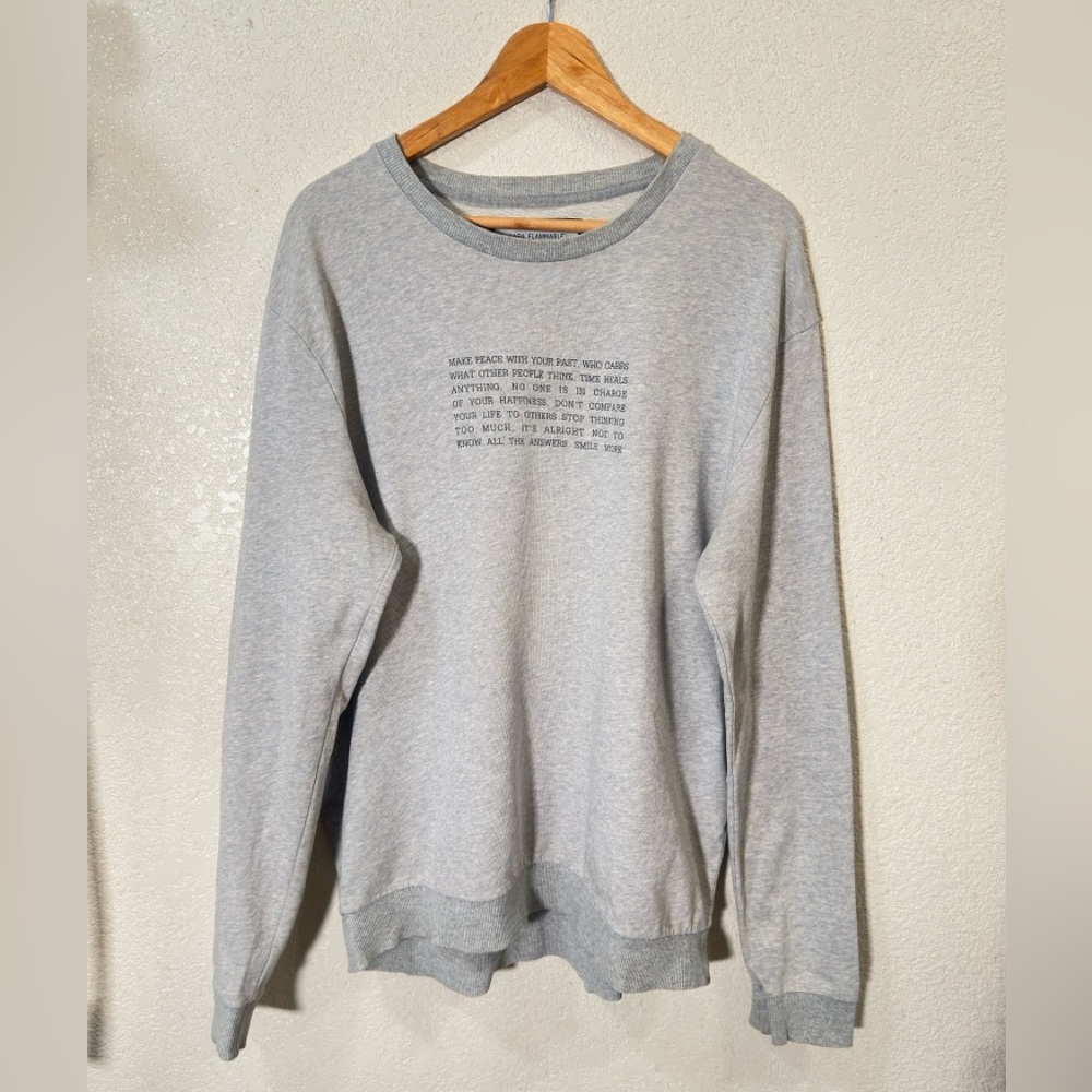 Zara Gray Crewneck Sweatshirt (Rare!)
